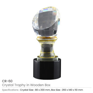 Crystal Trophy in Wooden Box - Image 3